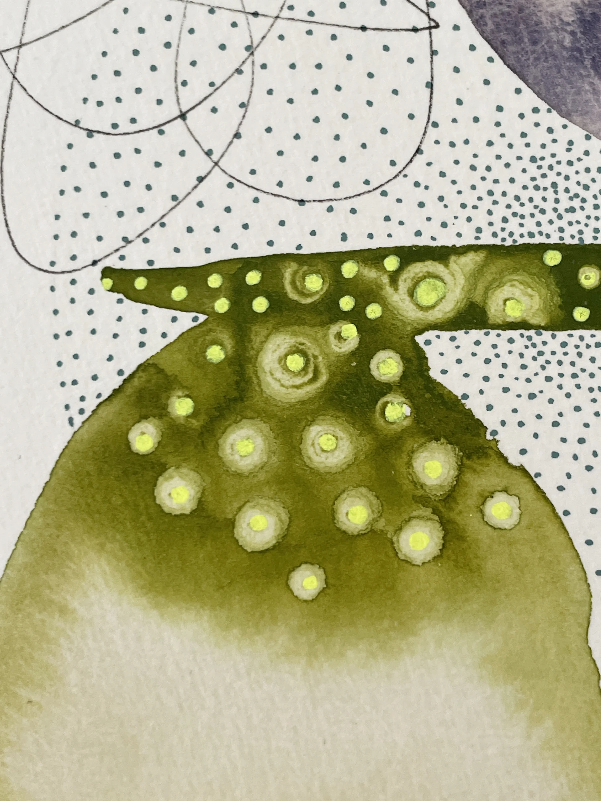 Morphology 10 by Adriana Merlo — view 4 of 7