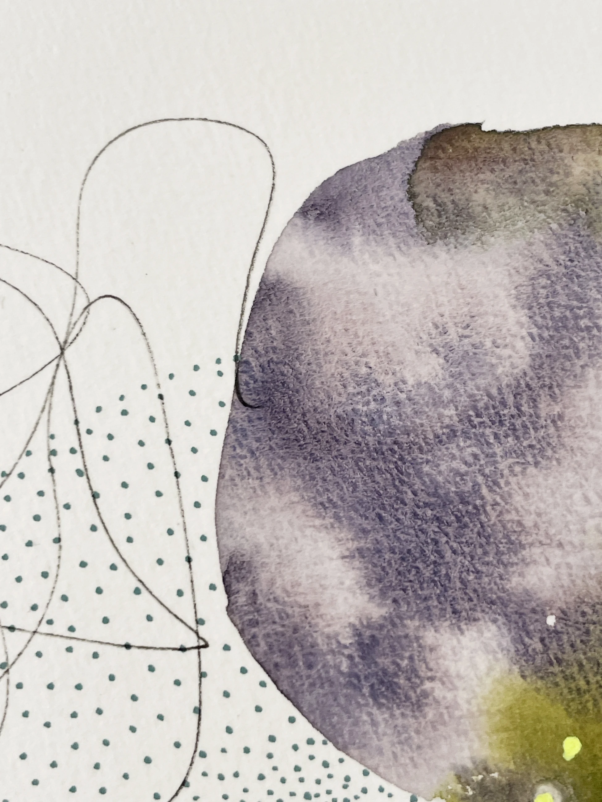 Morphology 10 by Adriana Merlo — view 6 of 7