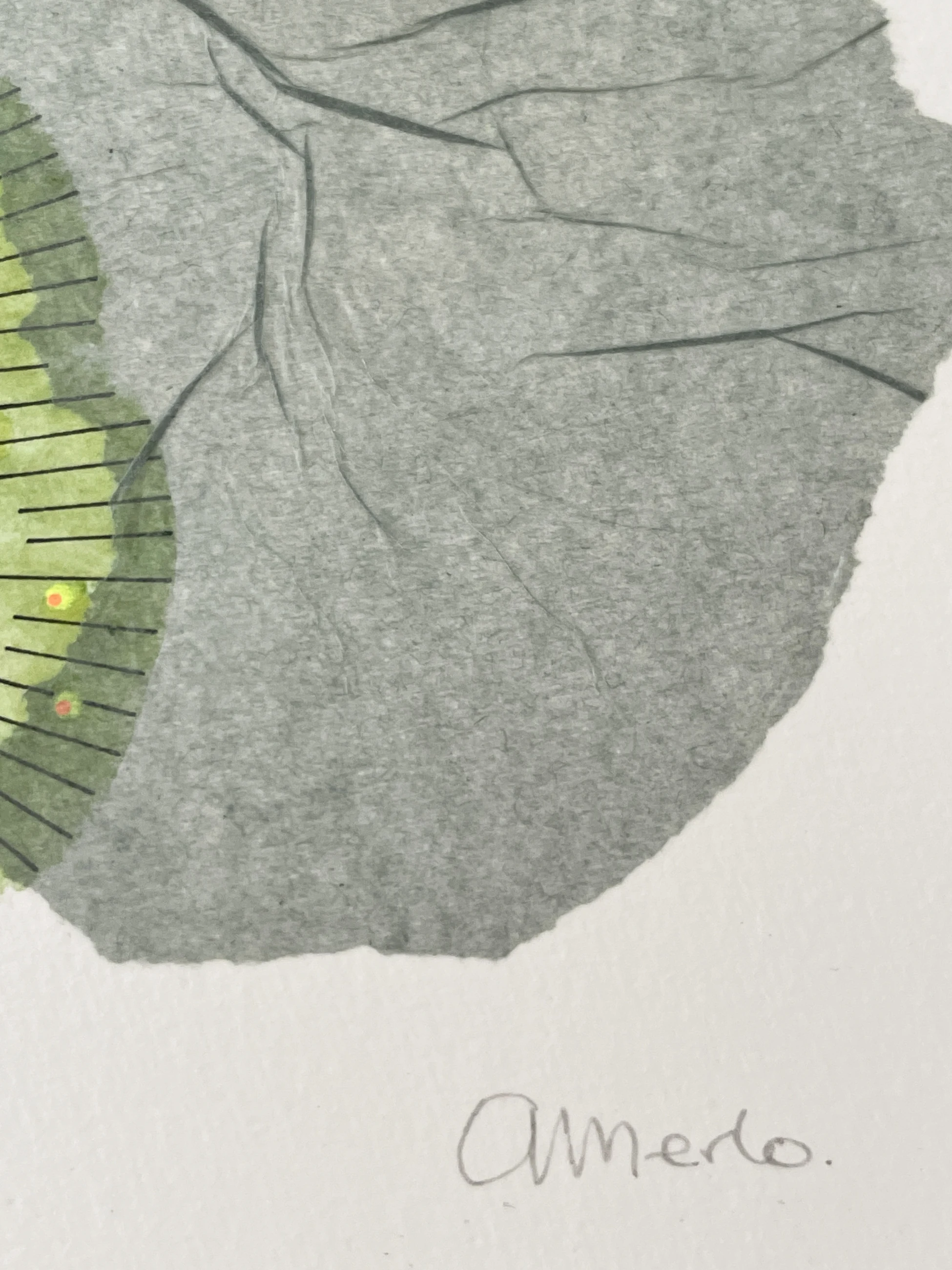 Morphology 11 by Adriana Merlo — view 2 of 4