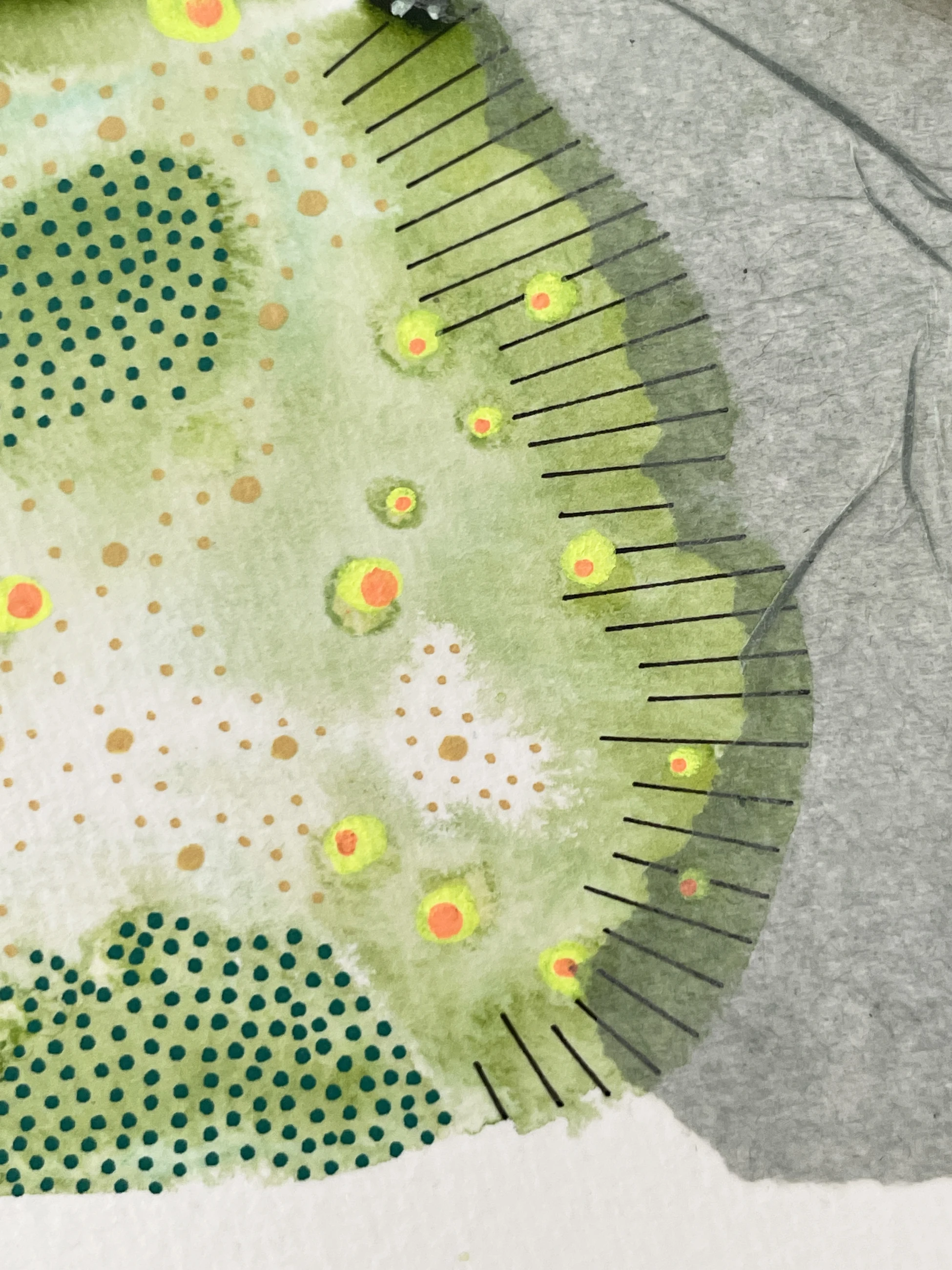 Morphology 11 by Adriana Merlo — view 3 of 4